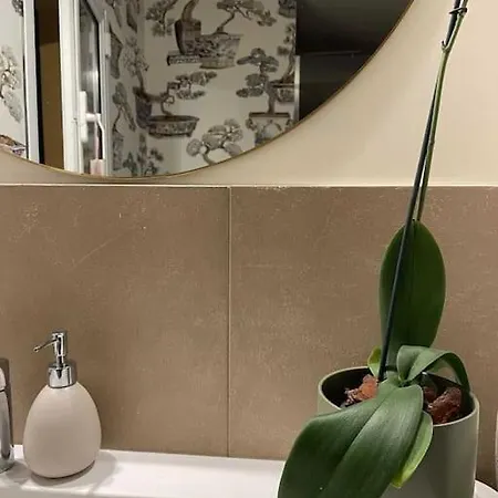 Romantic Attic With Panoramic View * Bologna